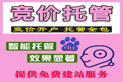 某某SEM服务公司成功案例：从数据出发的营销策略